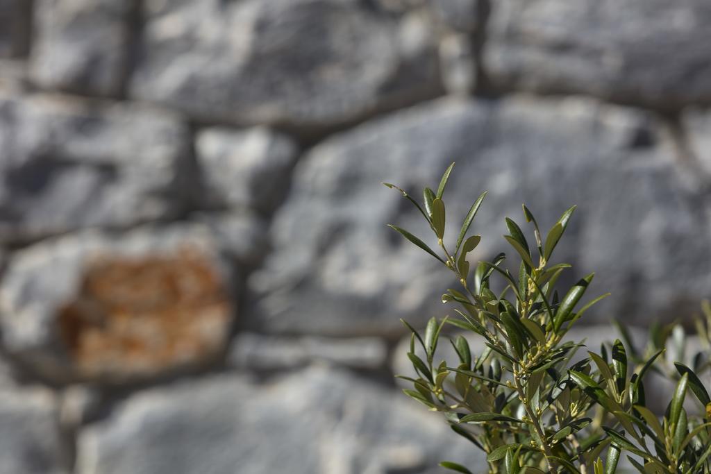 Asanti Villas Neochori  Pokoj fotografie